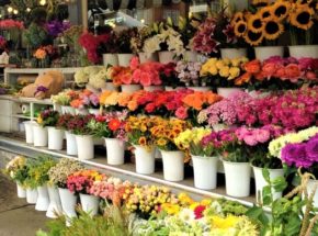 магазин цветов