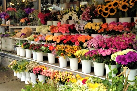 магазин цветов
